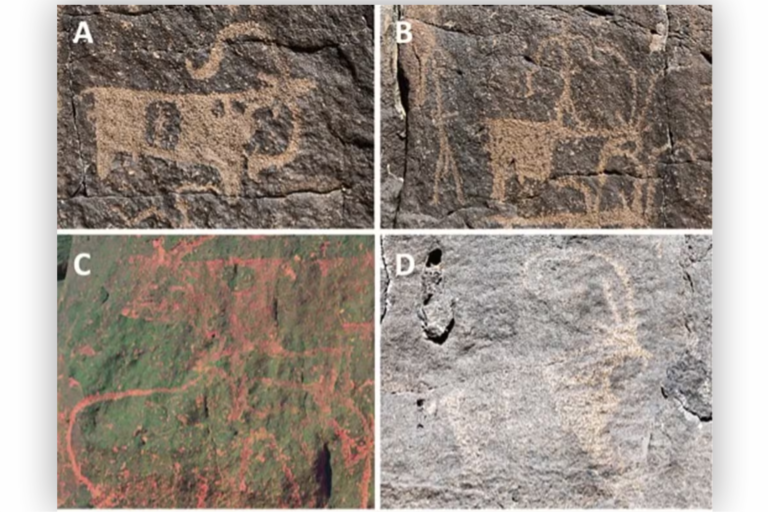 Exploração arqueológica em caverna encontra arte rupestre de humanos pré-históricos