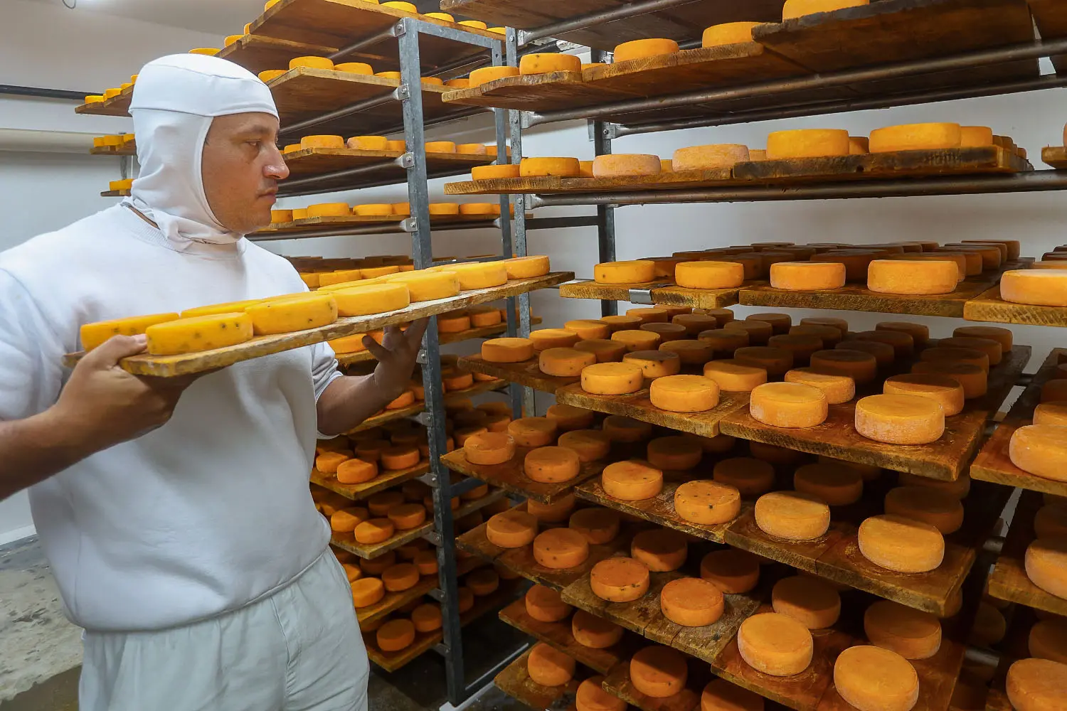 queijo witmarsum011
