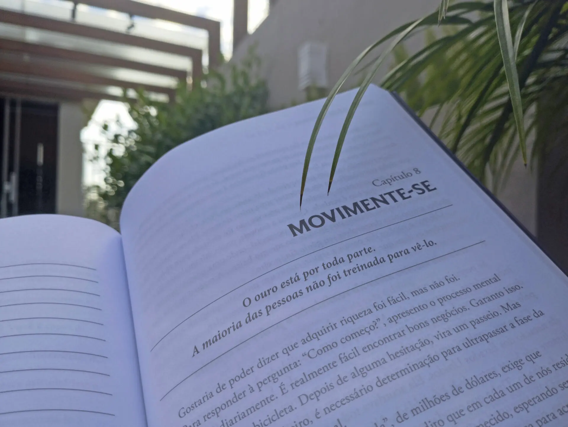 3 livros essenciais 1