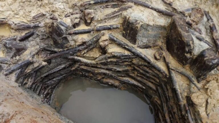 Arqueólogos encontram poço de madeira da Idade do Bronze