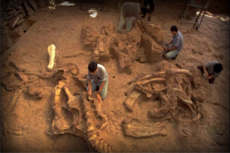 Cientistas desenterram ossos de dinossauros com 100 milhões de anos