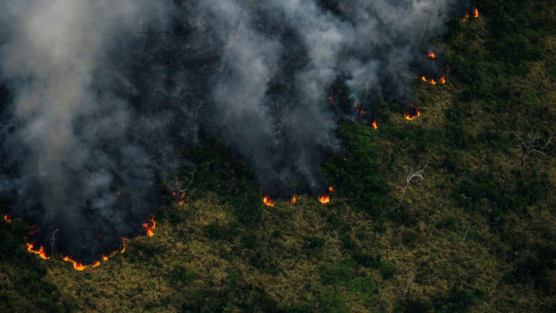 Incêndios no Paraná, um caso registrado a cada 27 minutos em 2024