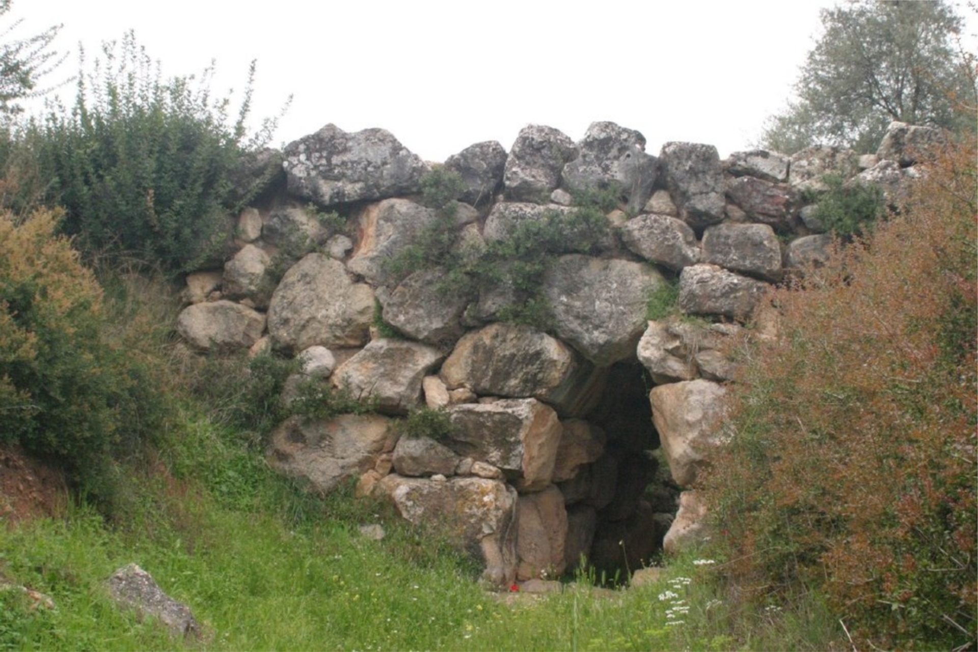 arkadiko