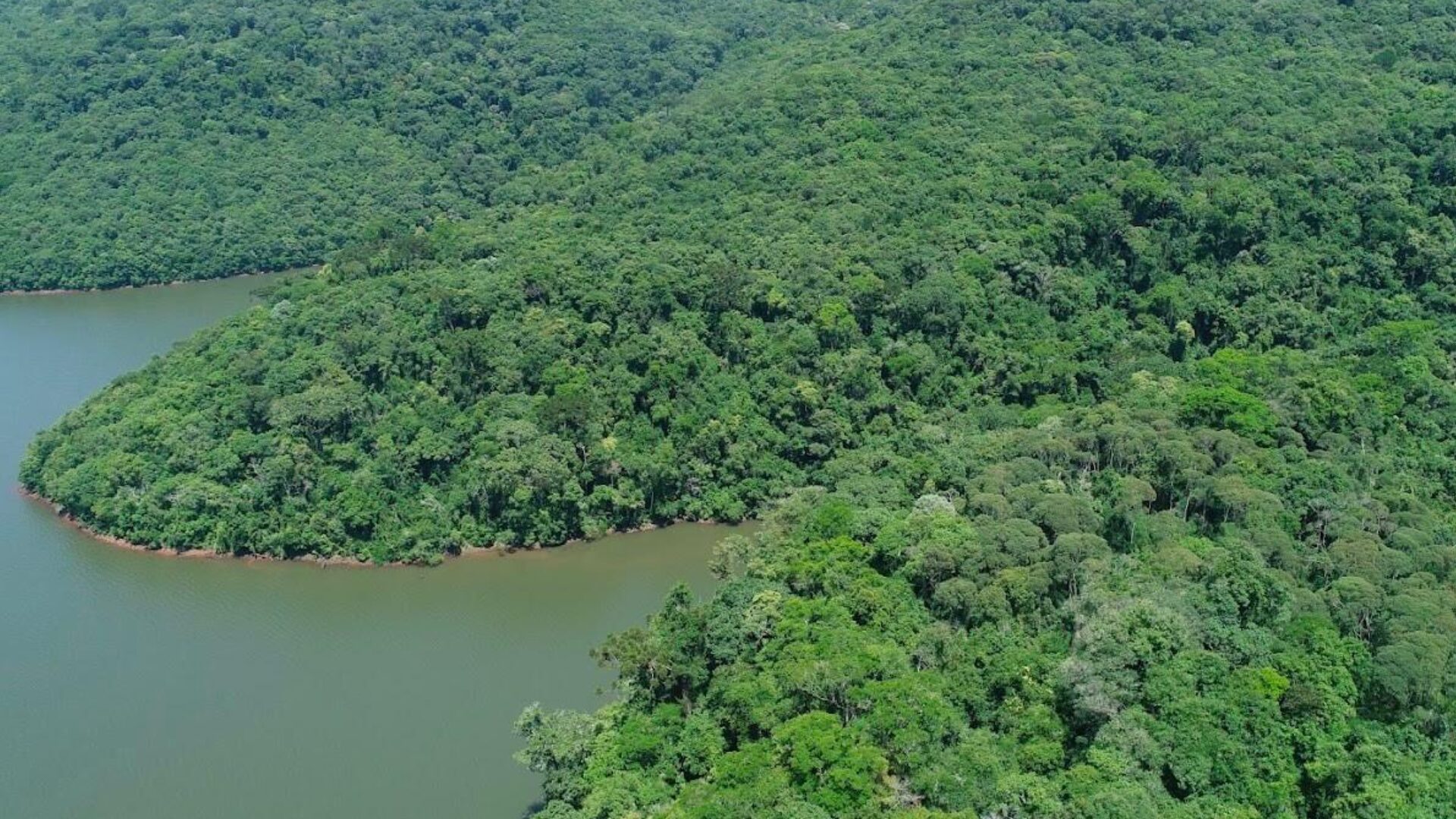 Secretaria do Meio Ambiente completa um ano com foco em progresso econômico mais sustentável