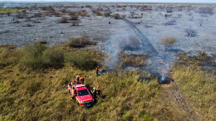 A morte de animais pela devastadora seca no Pantanal