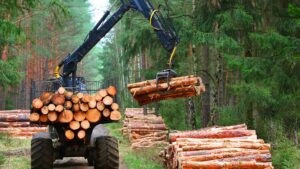 Santa Catarina lidera exportação brasileira de móveis de madeira maciça