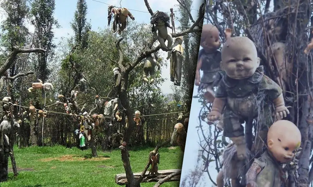 Fotos: GuinnessWorldRecords e Google Maps