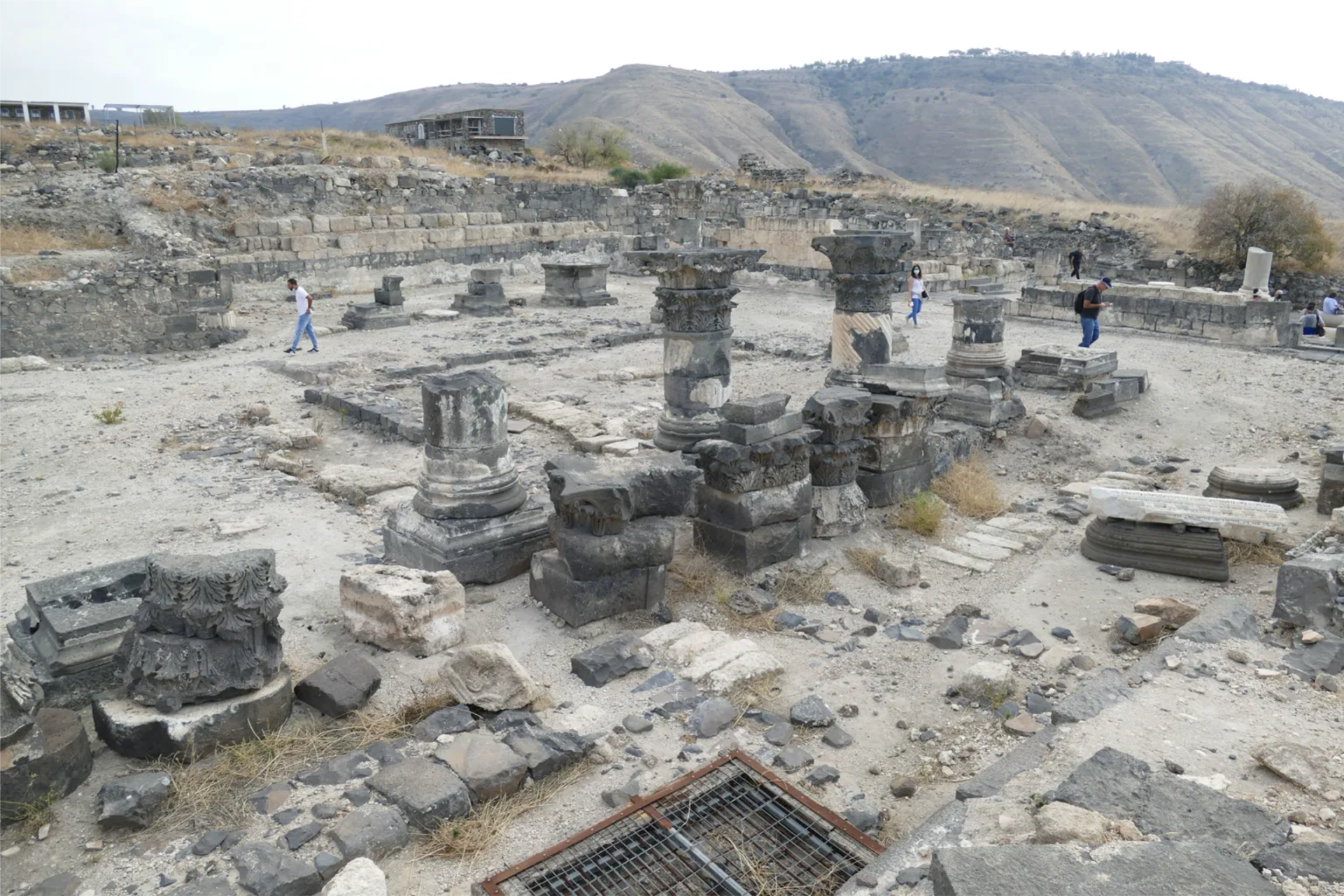 Hipopótamos: segredos de uma cidade antiga com 5 mil anos