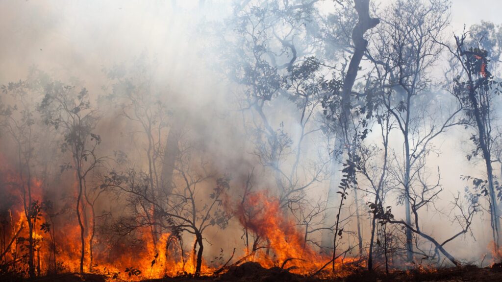 Governo destina R$ 137,6 milhões para combate a queimadas no Pantanal
