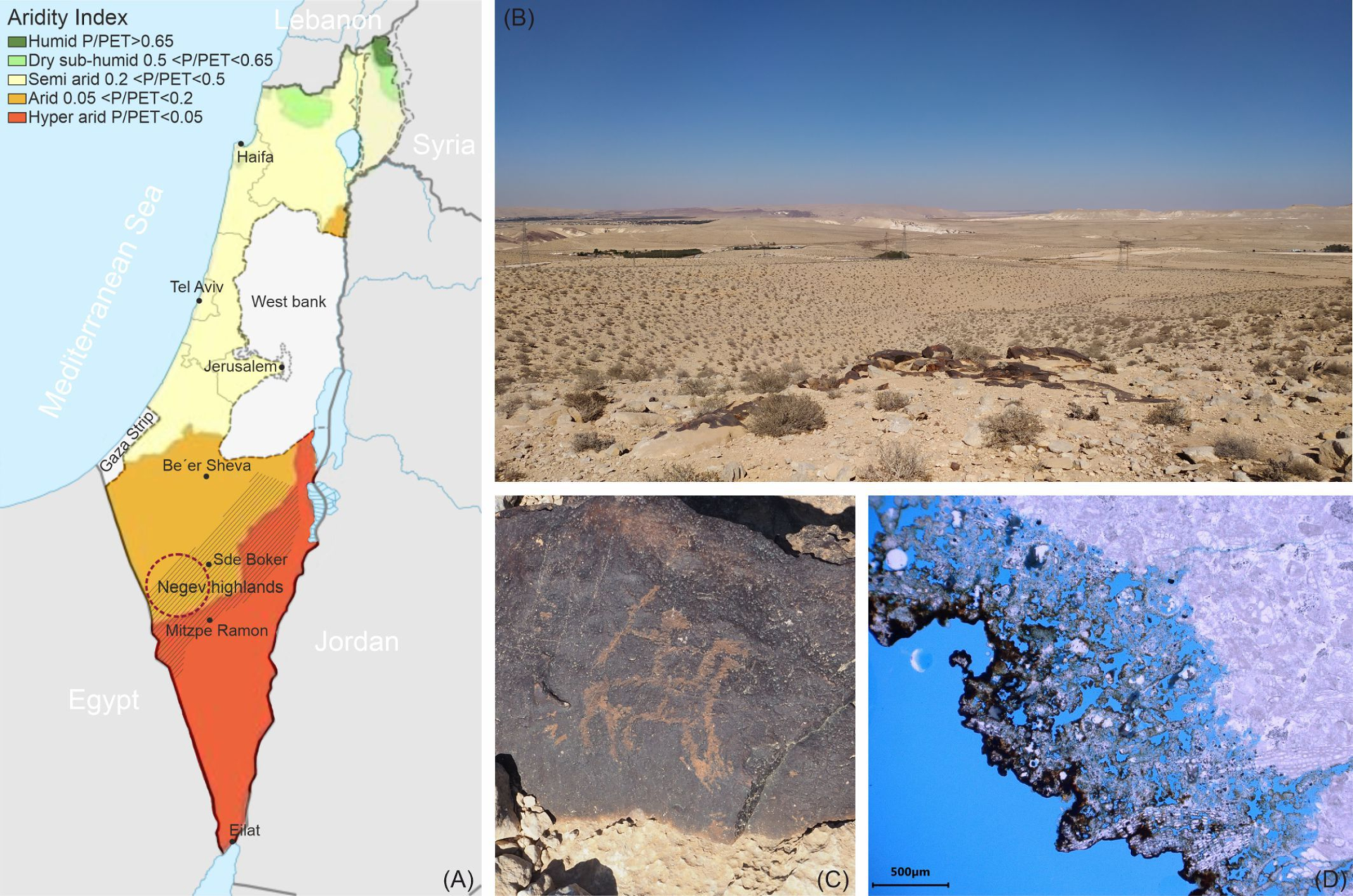 Petróglifos de 5 mil anos ameaçados por fungos no deserto de Negev