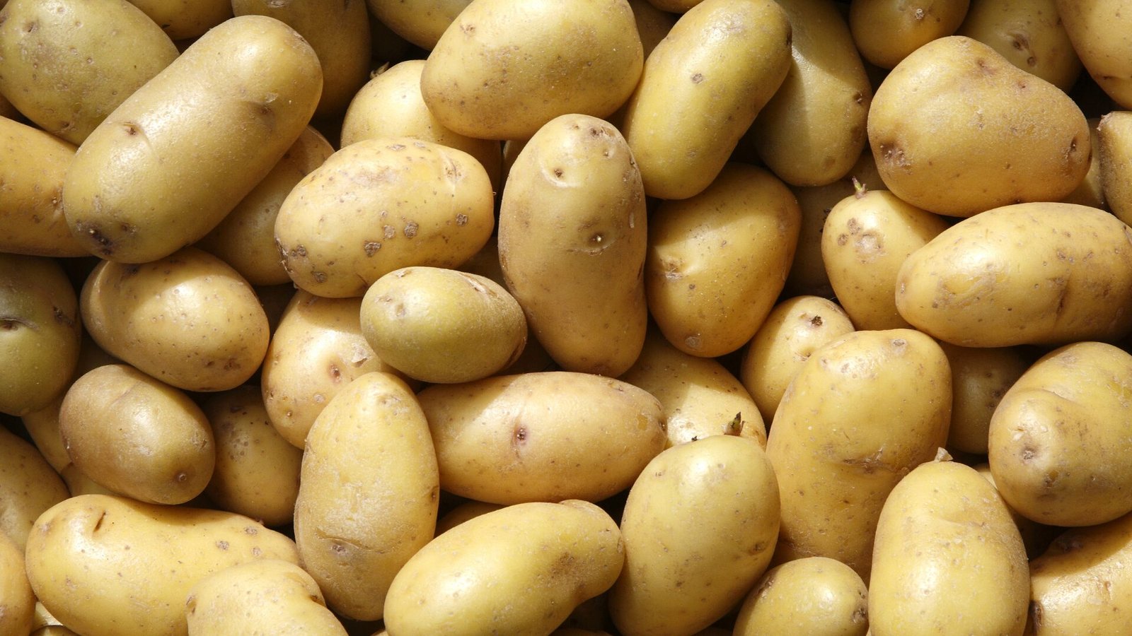 batata