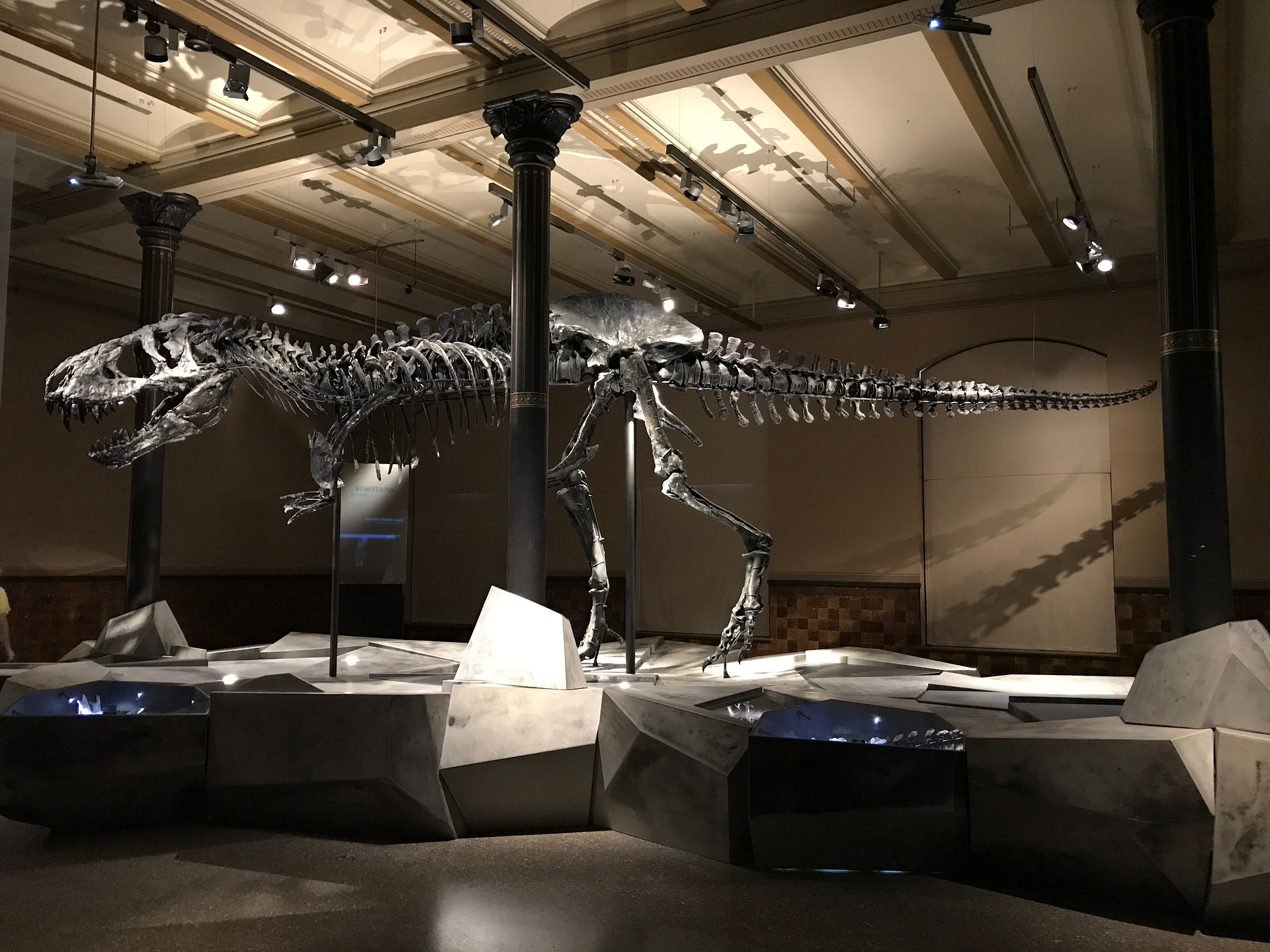 Os 10 maiores ossos de dinossauros já encontrados no mundo