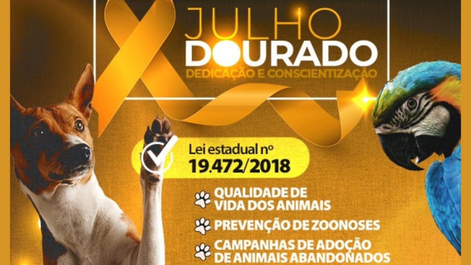 Julho Dourado alerta tutores sobre cuidados com os pets