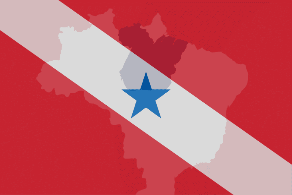 para bandeira