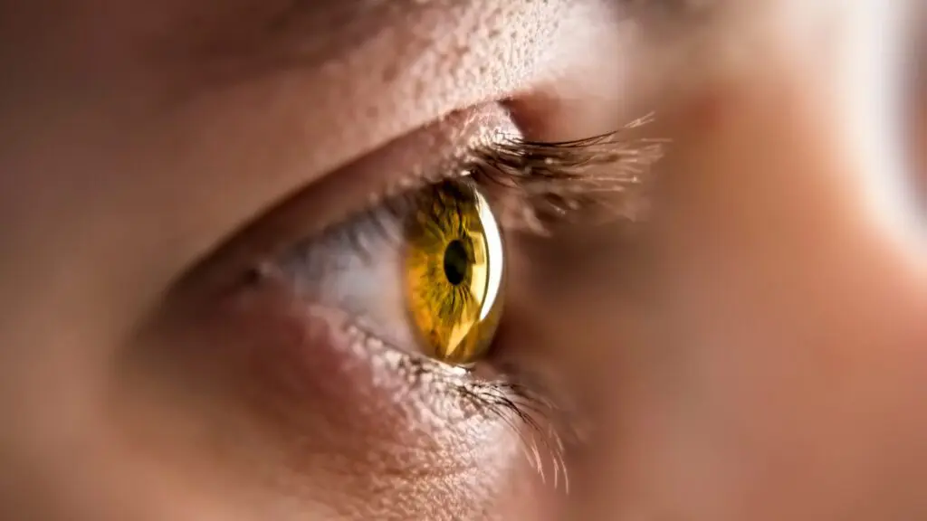 cores de olhos