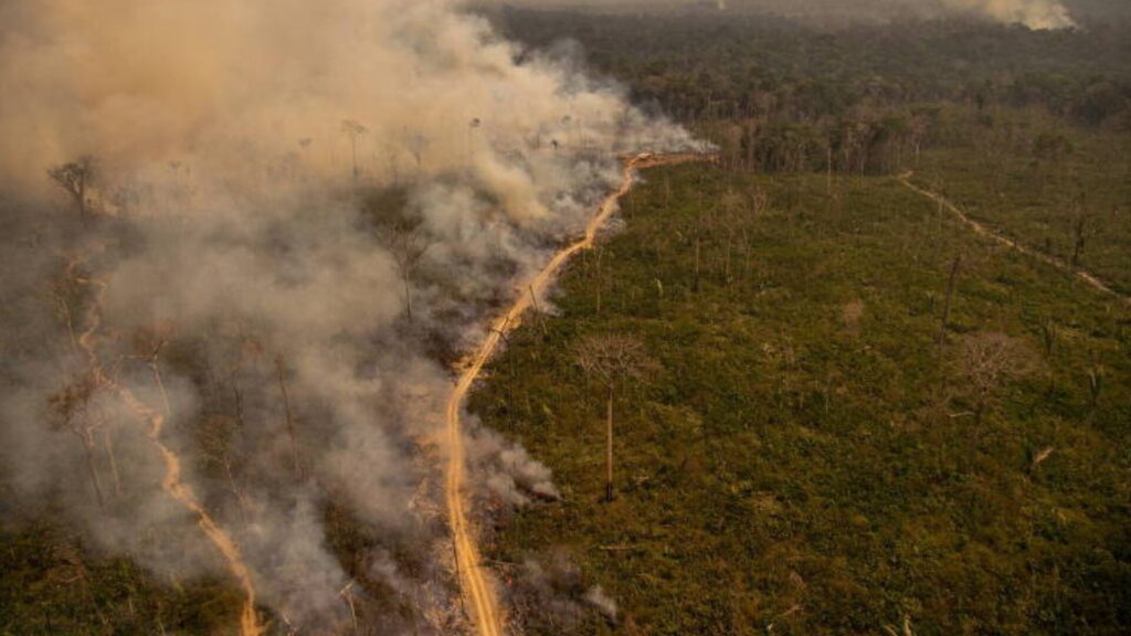 incêndios na Amazônia