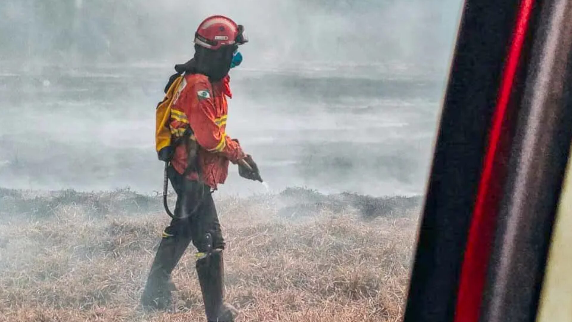 Aumento expressivo de incêndios florestais desafia o Paraná em 2024