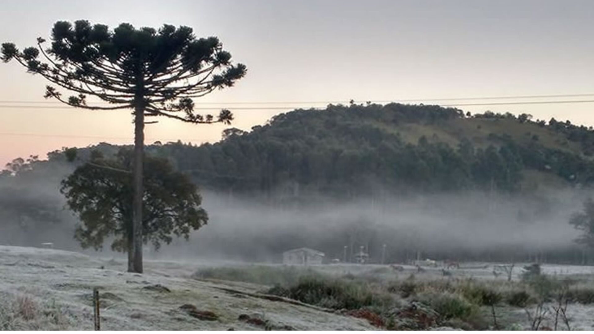 Paraná enfrenta temperaturas abaixo de zero