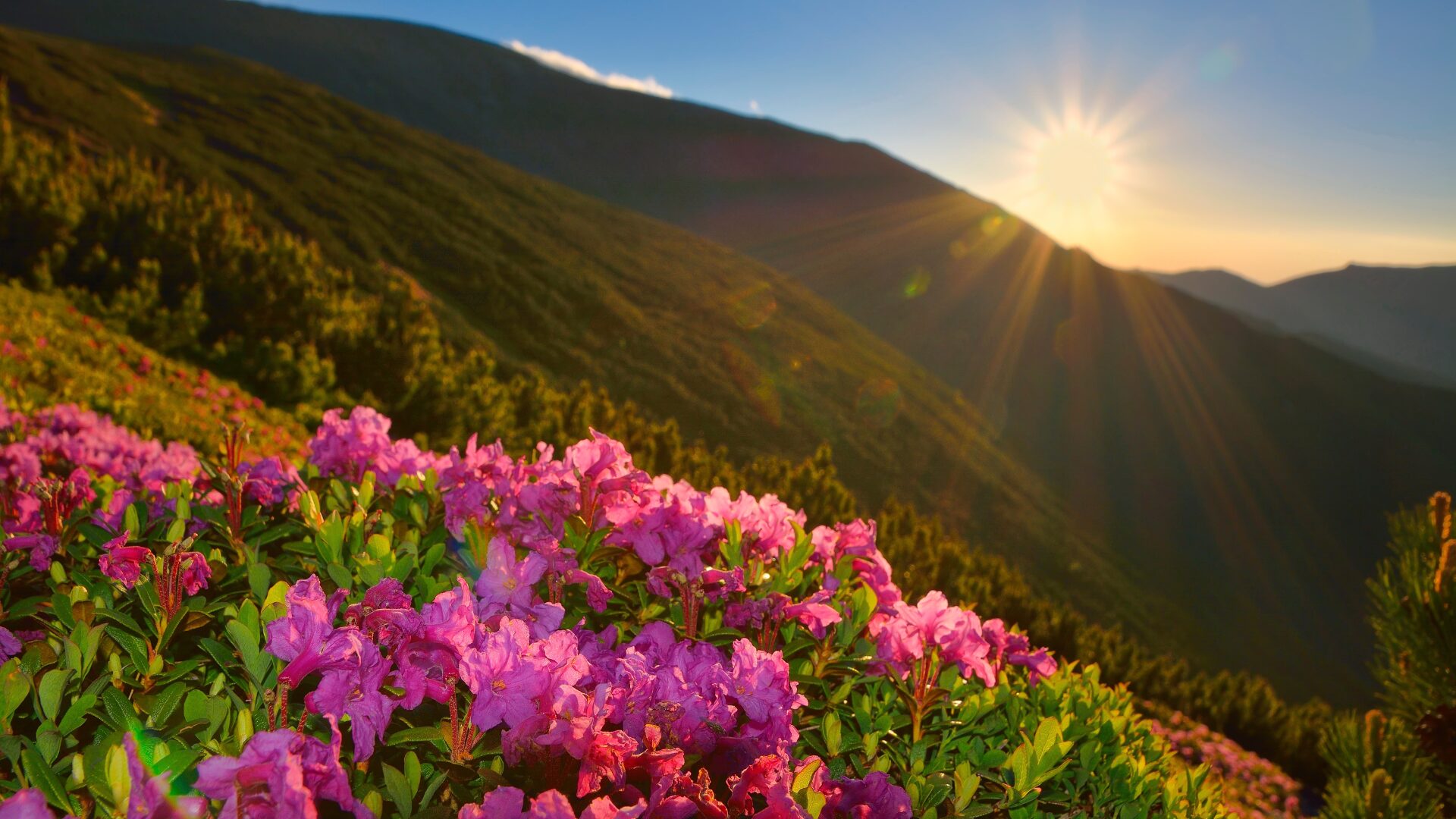 Primavera começa com temperaturas altas e eventos extremos em SC