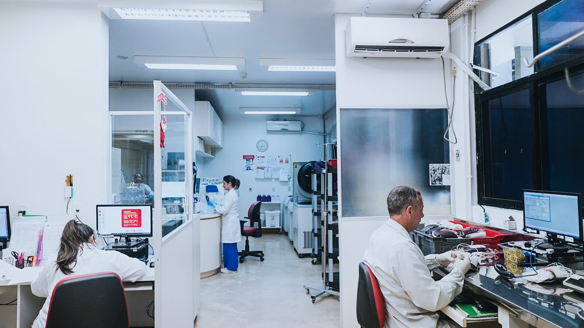 Tecnologia moderna aprimora transplantes de medula óssea em Santa Catarina