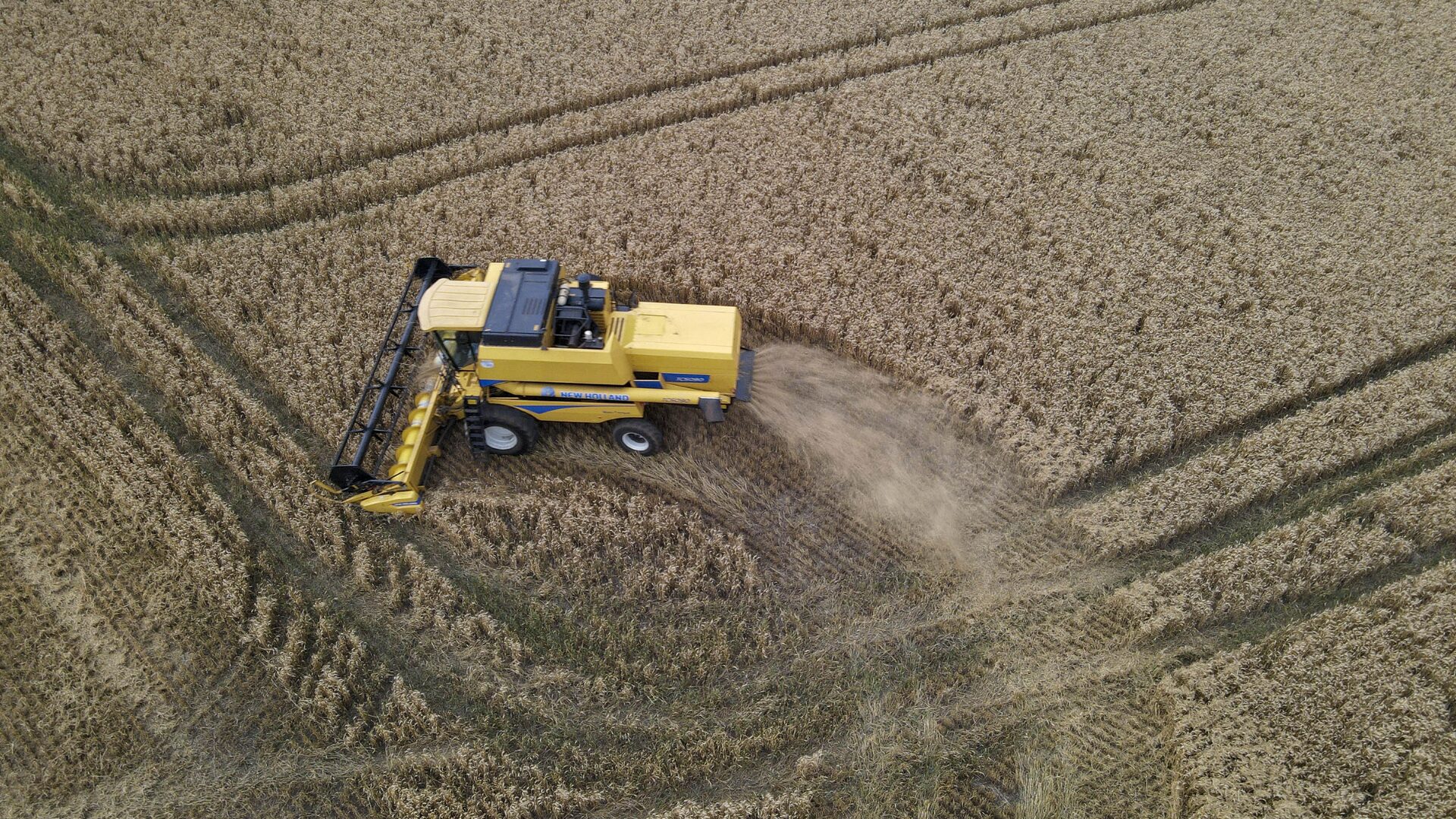 Culturas agropecuárias elevam VBP e impulsionam economia no Paraná