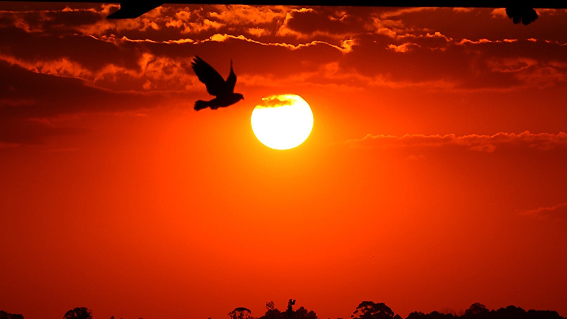 Primavera no Paraná será marcada por calor intenso e chuvas abaixo da média histórica