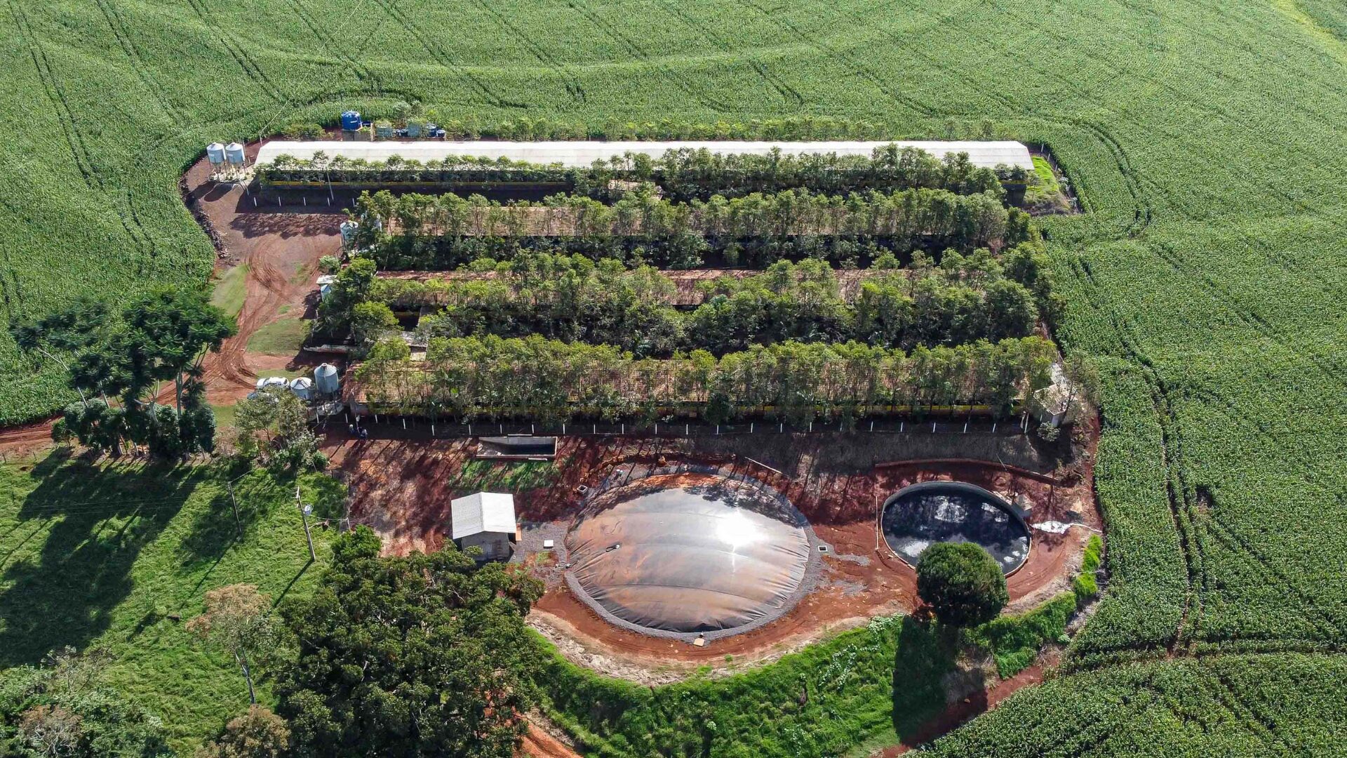 Paraná avança em energias renováveis com hidrogênio verde e biogás