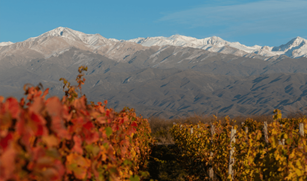 Descubra o melhor do turismo em Mendonça, Argentina
