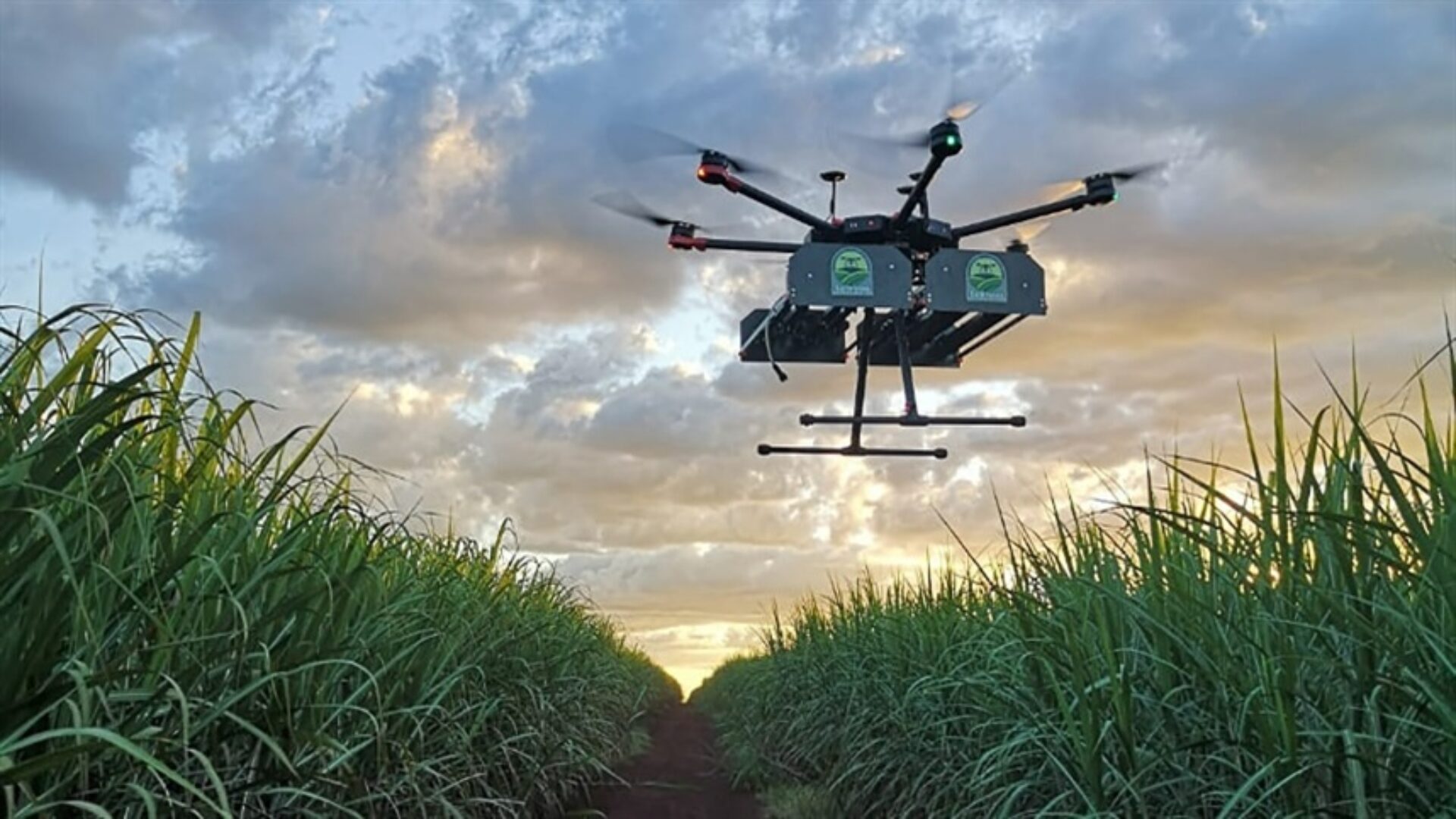 Workshop destaca inovação com drones e maturadores em canaviais