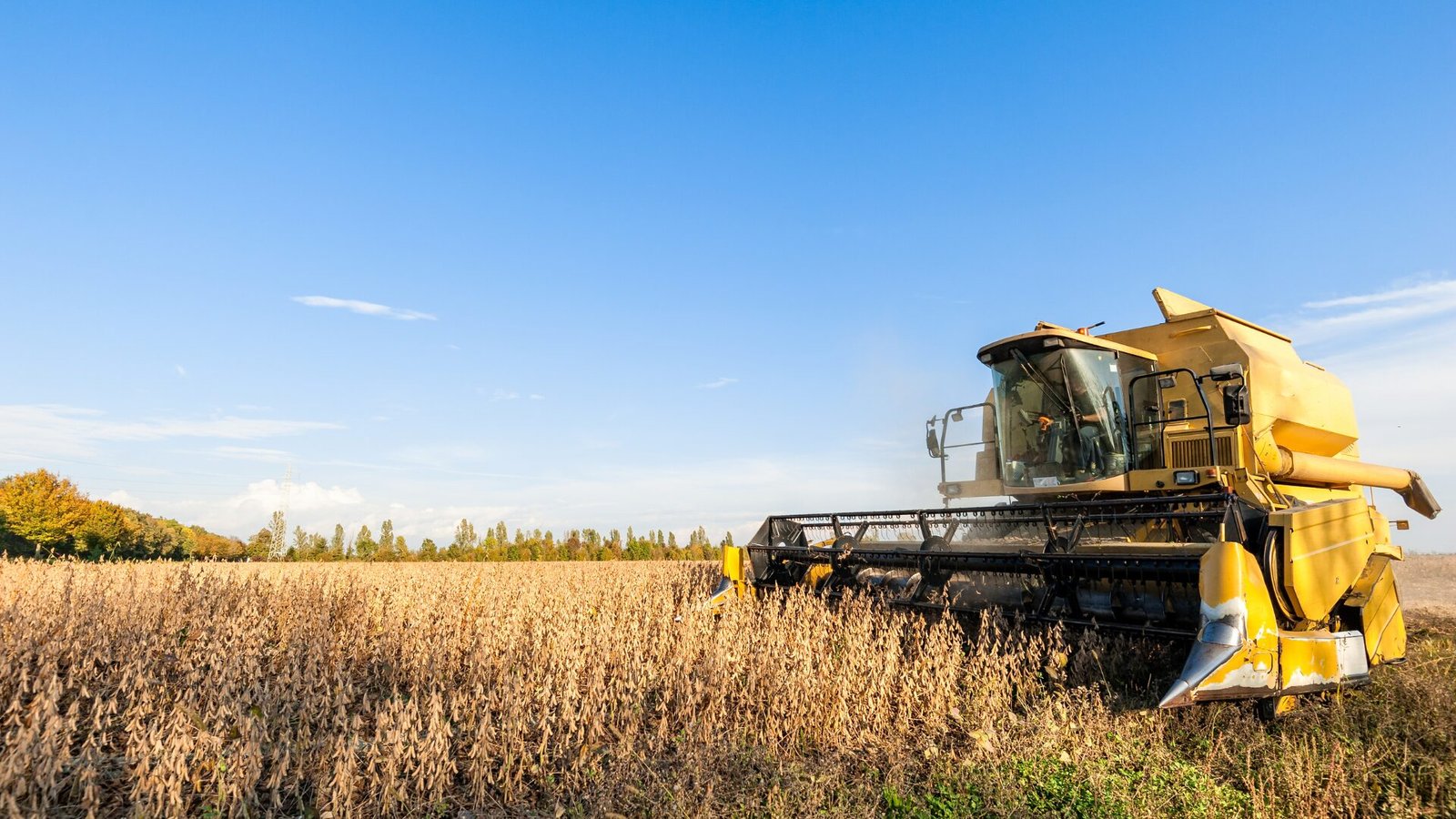 Produção de grãos no Brasil atinge crescimento recorde de 8,3%, aponta Conab