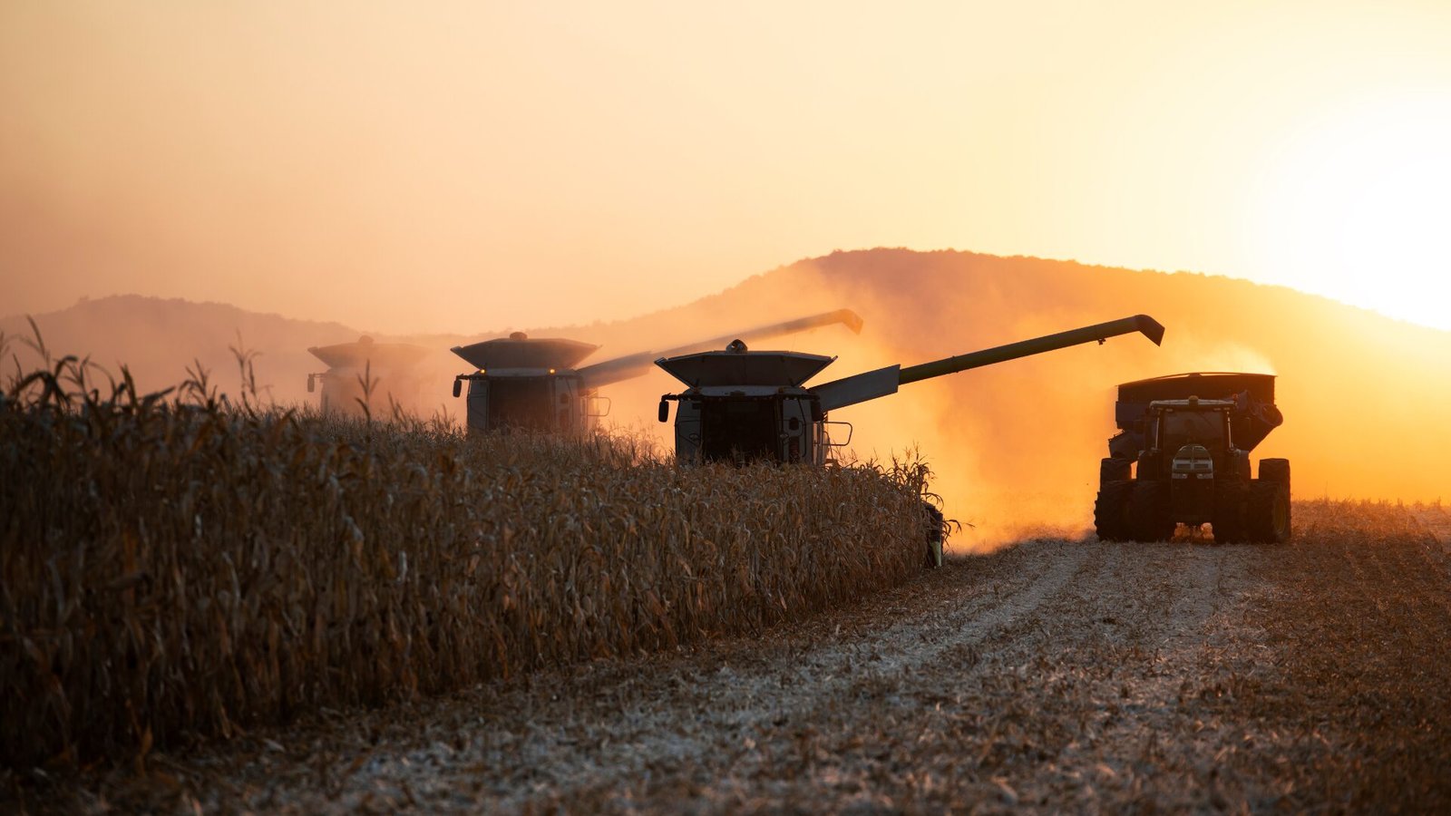 Alta nos preços agrícolas anima produtores