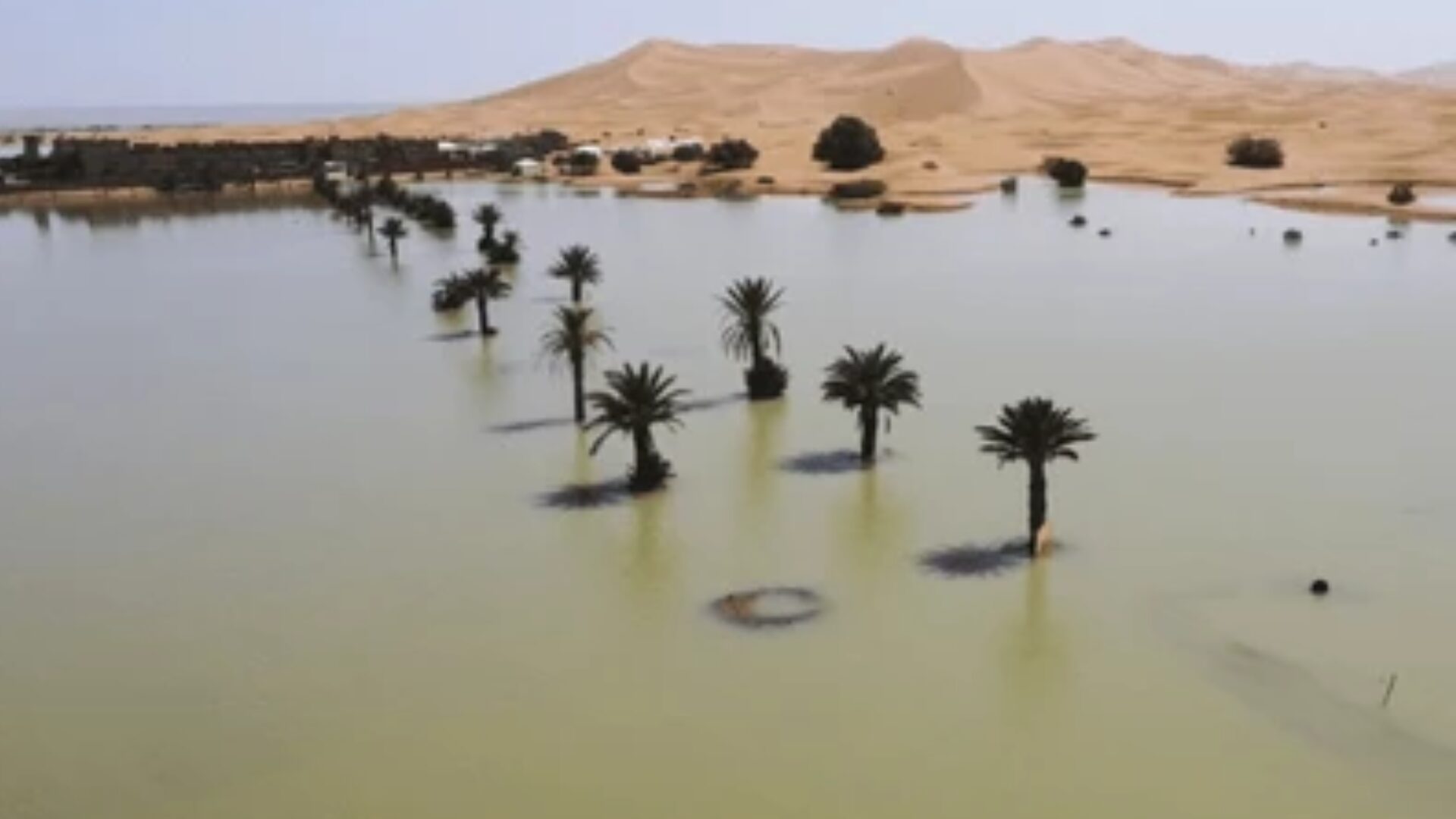 Chuvas no Saara formam lagoas e transformam paisagem desértica