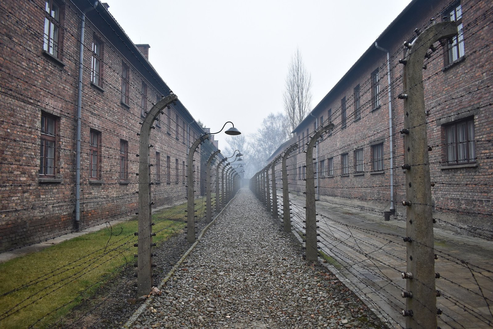 auschwitz injusticas