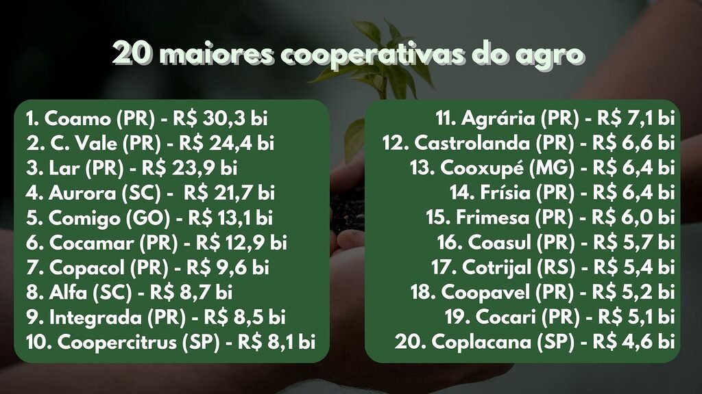 maiores cooperativas agronegócio brasileiro