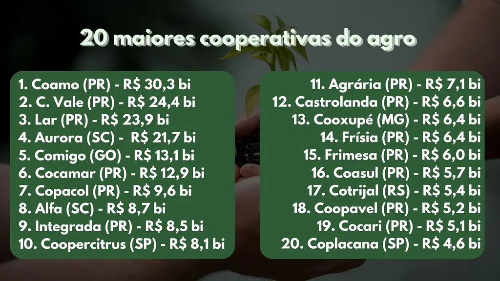 maiores cooperativas agronegócio brasileiro