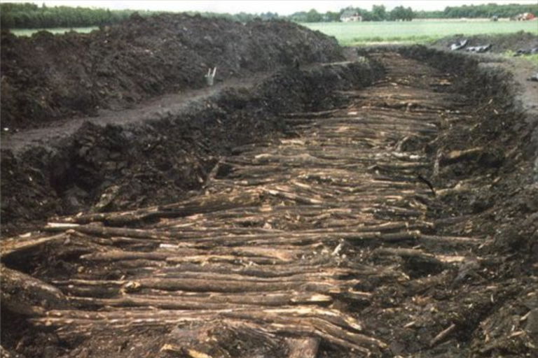 Conheça a estrada neolítica feita em madeira há 4.500 anos