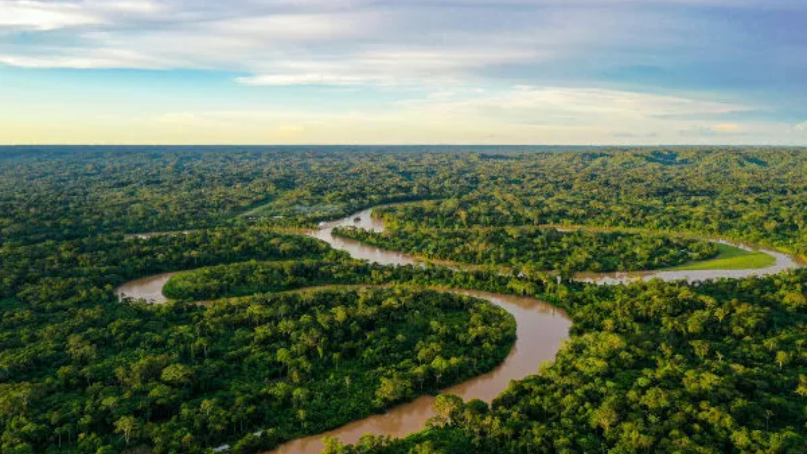 Amazônia registra queda histórica de 30,6% no desmatamento