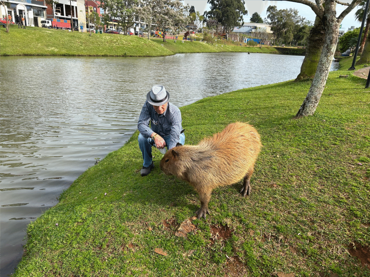 A história curiosa de um aposentado e sua amizade com uma capivara popular 3 aposentado capivara
