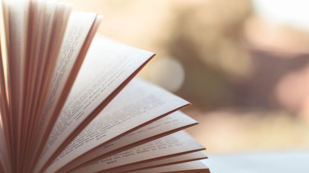 3 melhores livros para ler no mês de dezembro de 2024