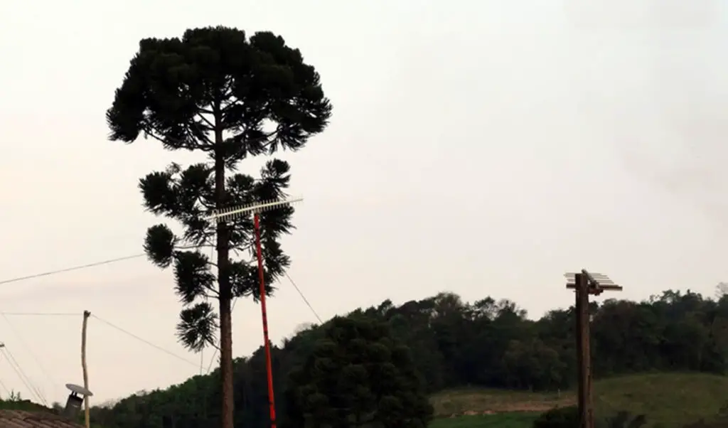 Chuva persistente e volumosa continuará nos próximos dias em Santa Catarina 2 A previsão de chuva deve persistir por mais alguns dias no estado e risco para ocorrências como alagamentos e deslizamentos permanece