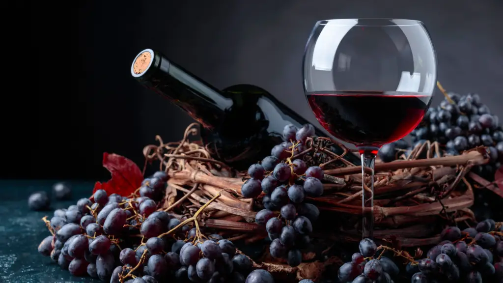 Por que o vinho seco deixa a boca seca? e como ele se diferencia do vinho suave 2 vinho seco