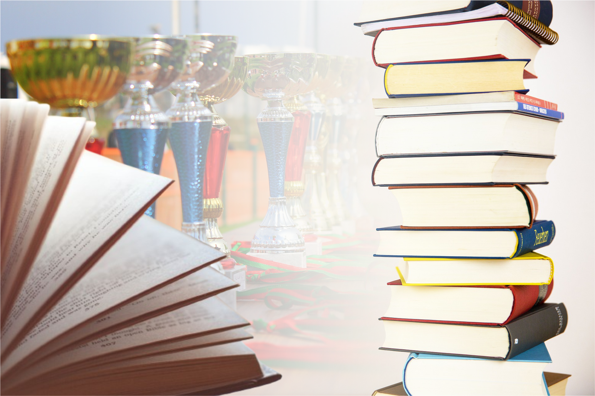 melhores livros