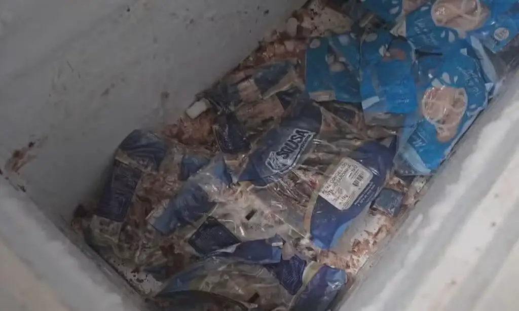 Empresa é acusada de revender 800 toneladas de carne que ficou submersa na enchente do RS 2 Operação prendeu um dos sócios da empresa. Carne teria ficado submersa por muitos dias na enchente em Porto Alegre
