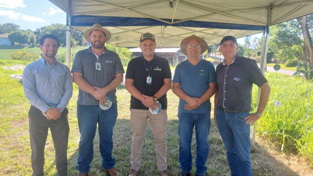 Tarde de Campo promove capacitação de agricultores em Bom Jesus do Sul 3 Tarde de Campo reuniu especialistas e agricultores para troca de conhecimentos sobre manejo de pastagens e bovinocultura de leite