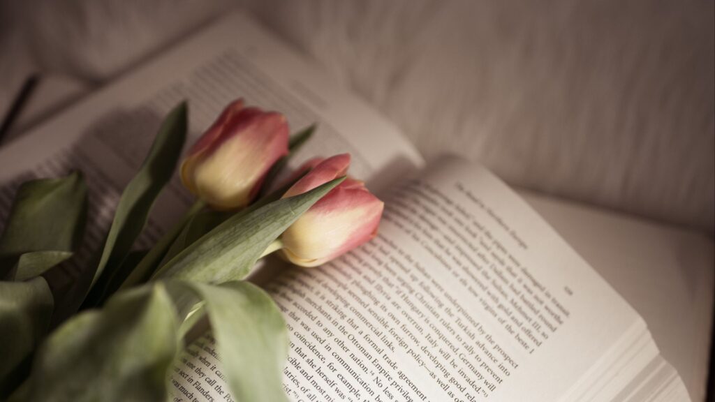livros de comédia