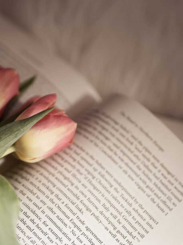 livros de comédia