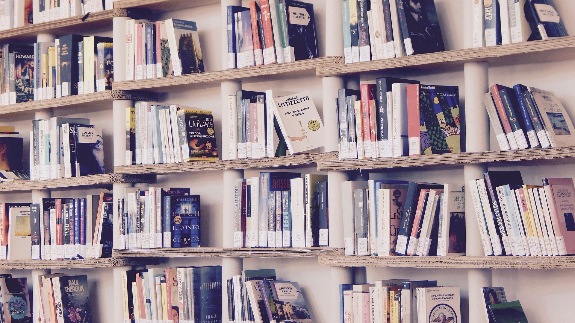 livros 1