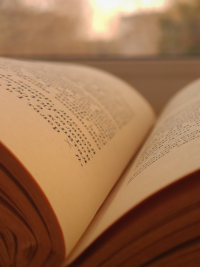 Livros tão bons que você até esquece que está lendo
