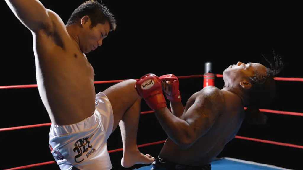 As 5 artes marciais mais praticadas no Brasil: História, benefícios e popularidade 2 artes marciais