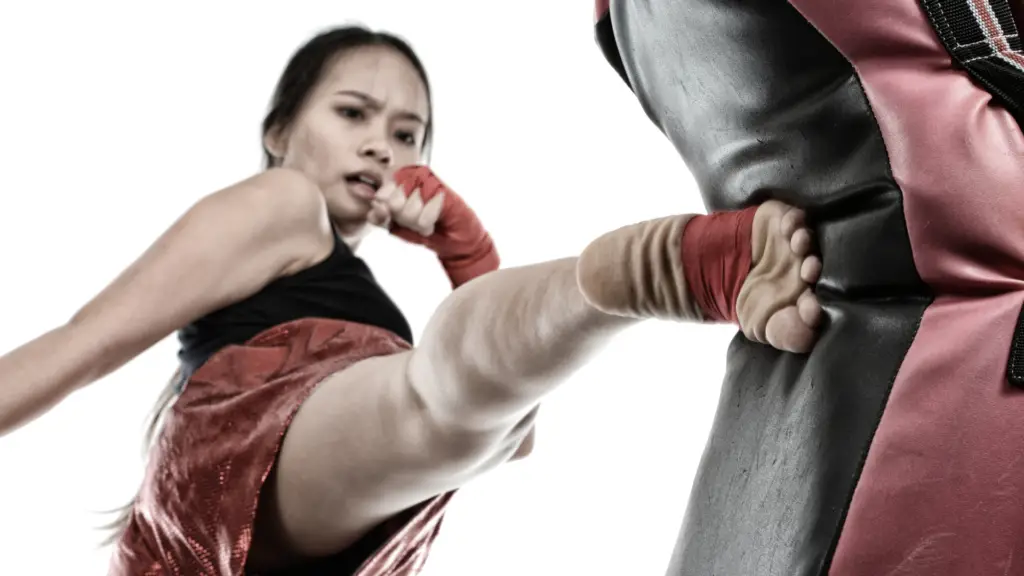 As 5 artes marciais mais praticadas no Brasil: História, benefícios e popularidade 3 artes marciais